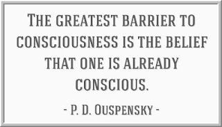 Barrier Consciousness